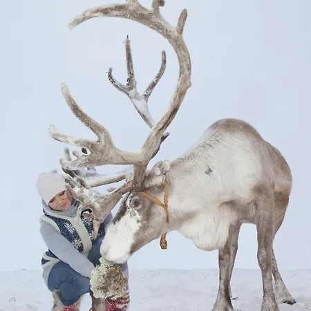Laukkala Cottages Reindeers & Husky * Haapalahti